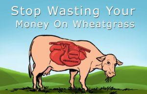 Is Wheatgrass Really Good For You?