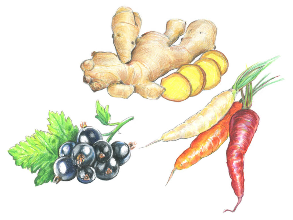 Polyphenols Polyphenol Guide Polyphenols Definition Dr. Gundry
