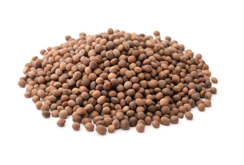 Different Lectins | Gundry MD
