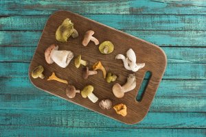 Different Types Of Super Mushrooms And Their Benefits