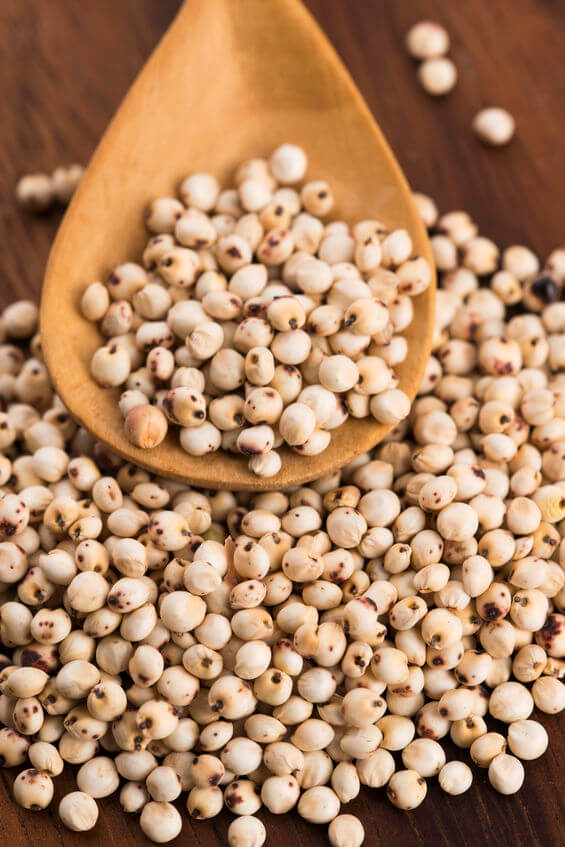 A LowLectin Lifestyle Are Cucumbers High In Lectins? Gundry MD