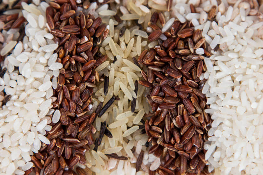 The Truth About Lectins In Rice Does Rice Have Lectins? Gundry MD