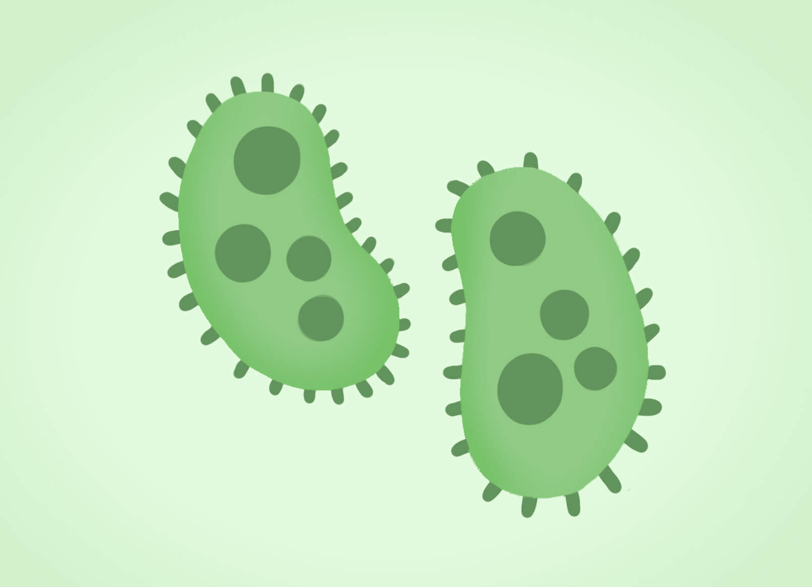 lectins | Gundry