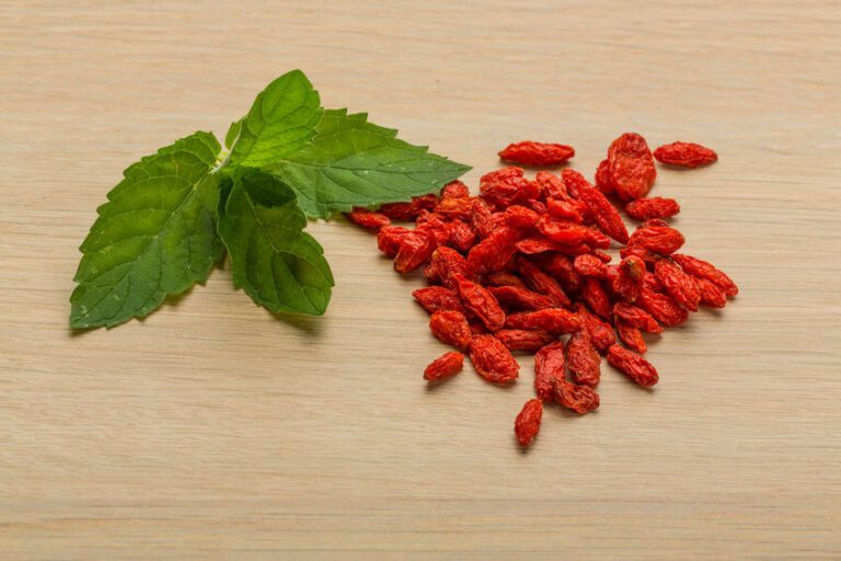 berberine shrub