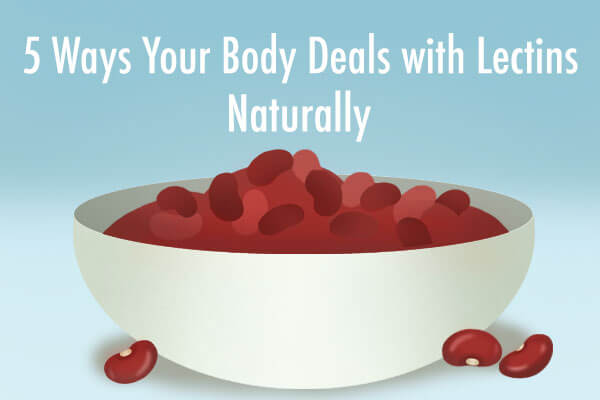 lectins
