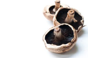 how to prepare shirataki noodles | Gundry MD