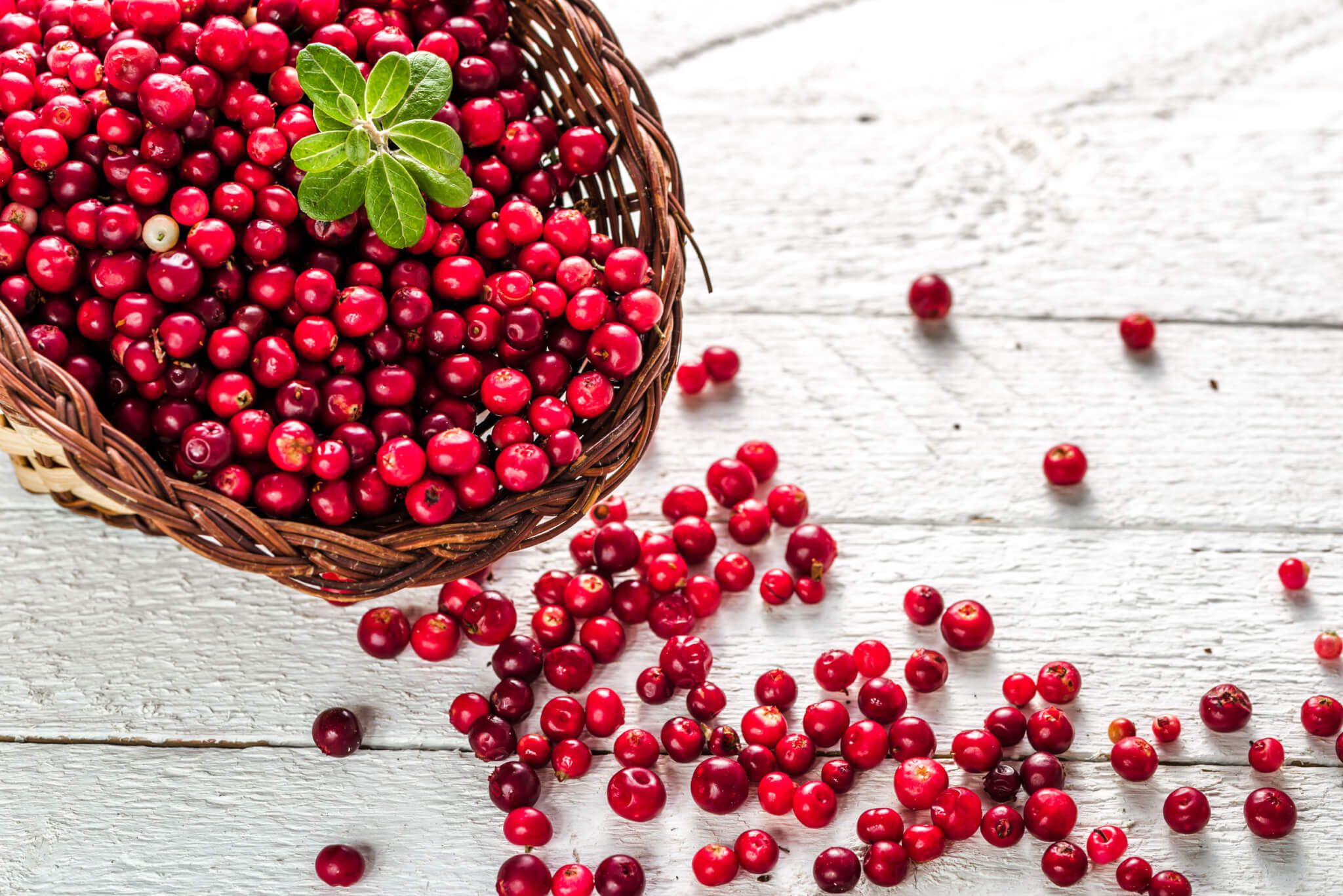 winter fruits
