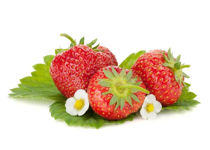 Spring Fruits | Gundry MD