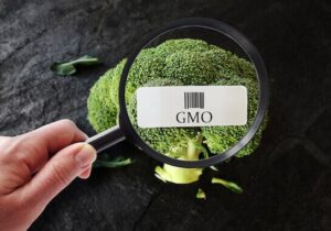 GMO food | Gundry MD