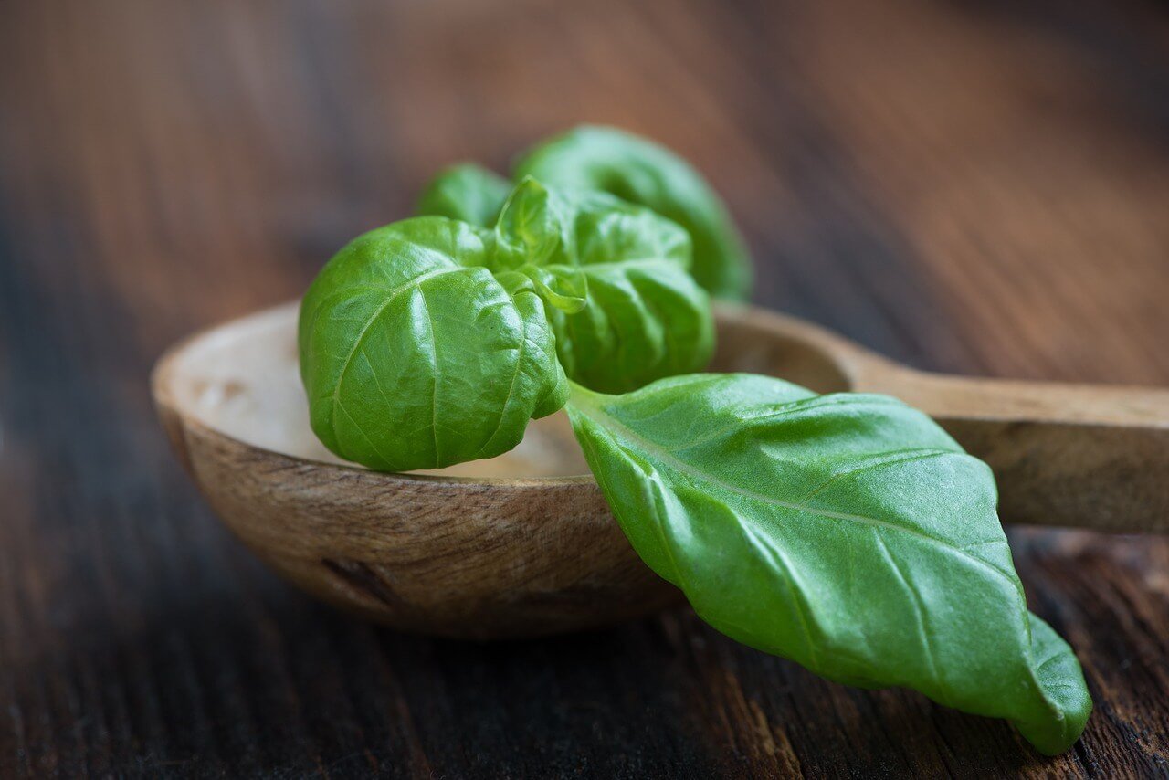 basil pesto recipe