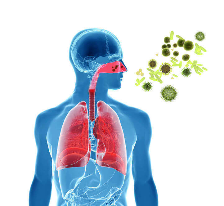 ginseng uses | Gundry MD