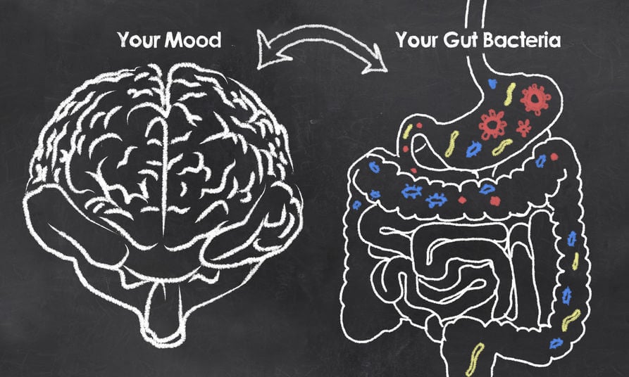 gut brain axis | Gundry MD