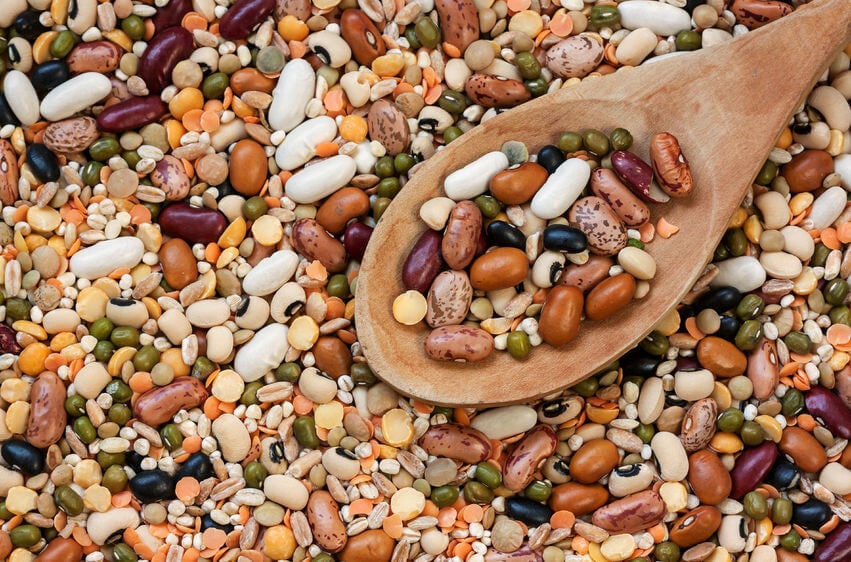 legumes flatulence