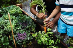 winter vegetables | Gundry MD