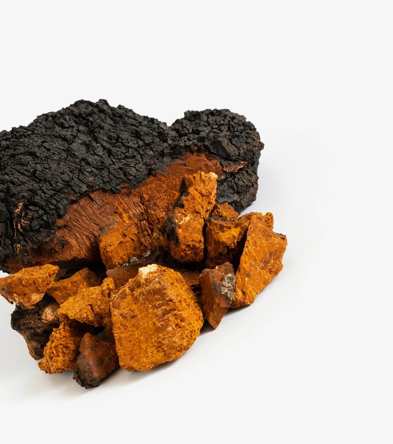 Chaga Mushroom - Gundry MD®