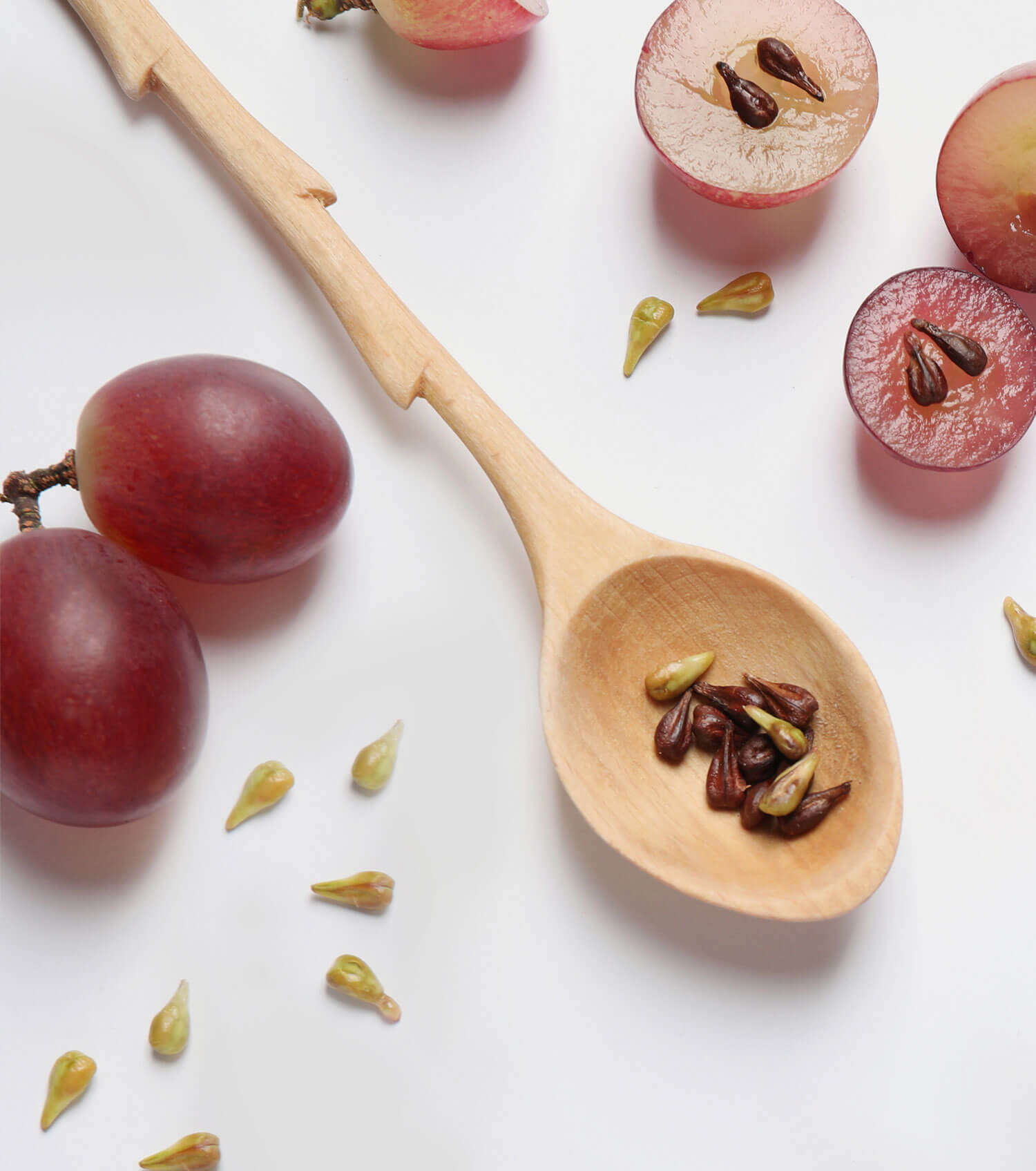 Grape Seed Extract Gundry MD®