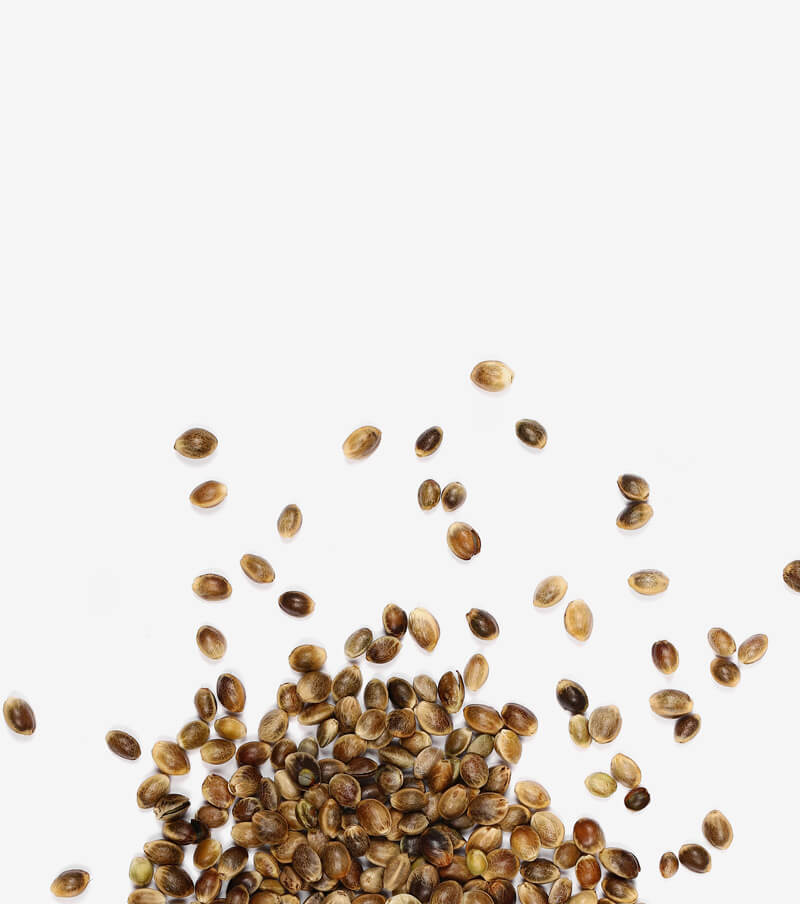 Hemp Seeds Gundry MD®