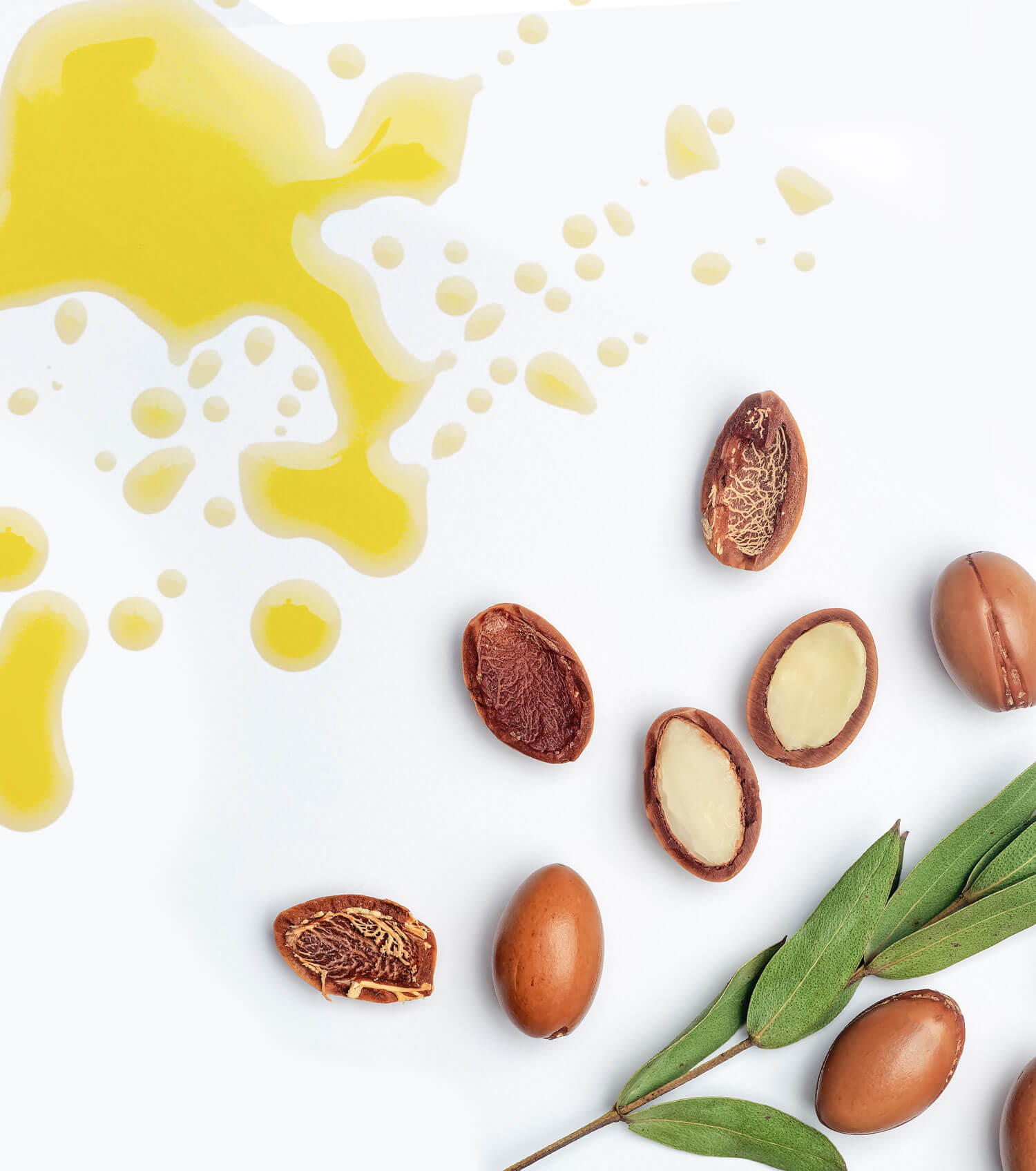 Moroccan Argan Oil - Gundry MD®
