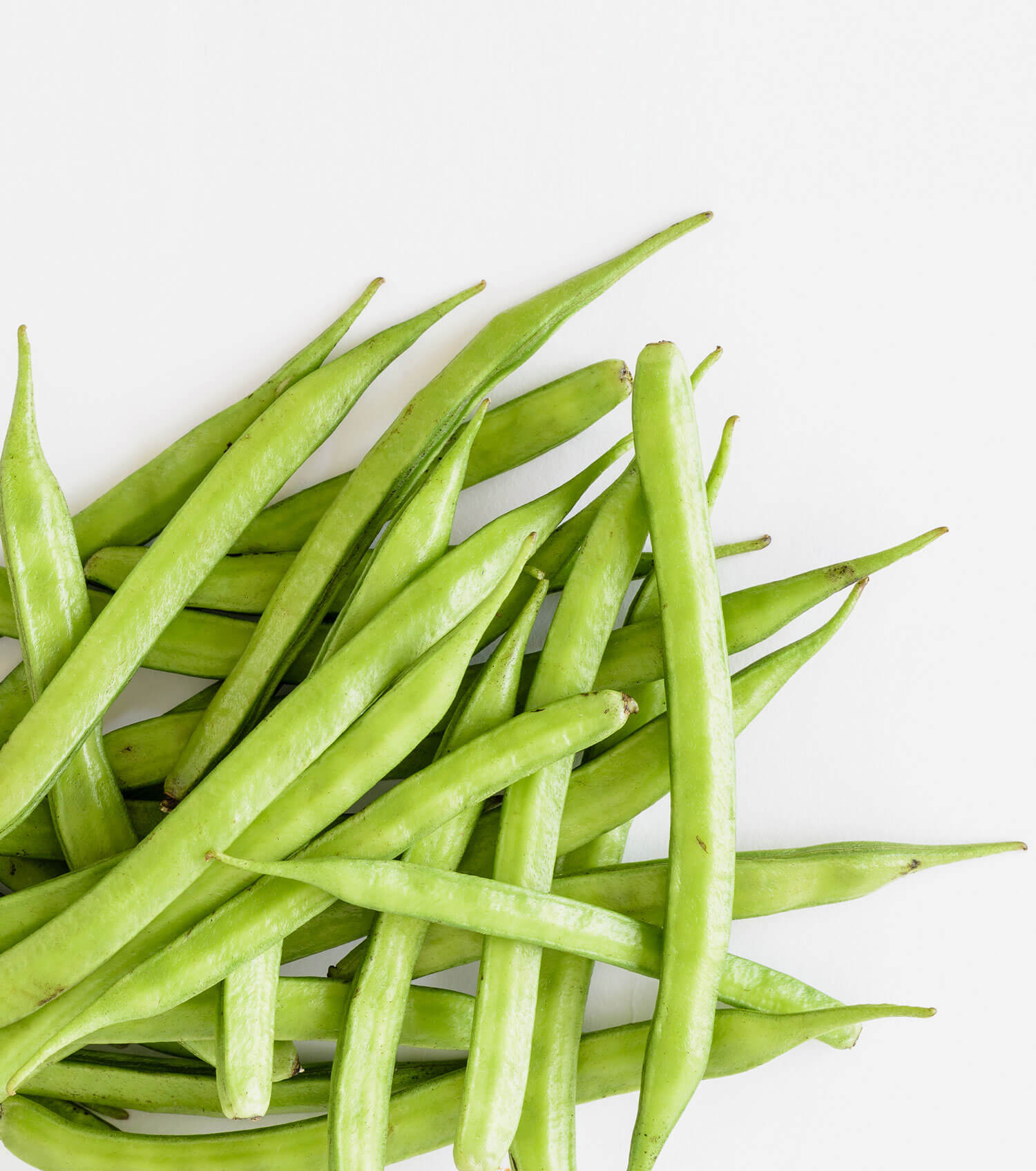 Guar Gum Gundry MD®