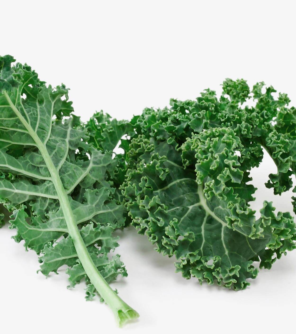 Kale Gundry MD®